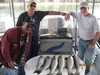 (09/24/2015) - Nice Striped Bass